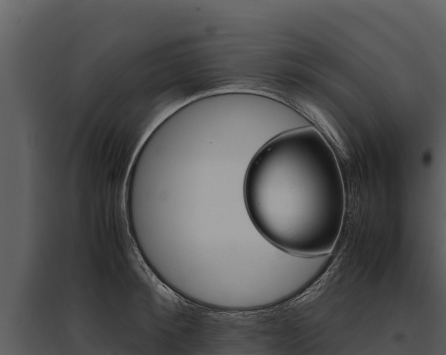 X0000095690900200801151145