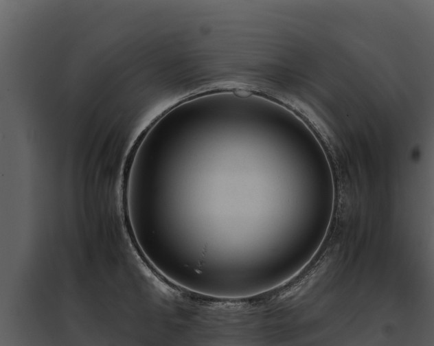 X0000095690902200801151145