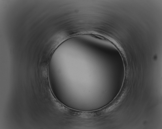 X0000095690905200801151145