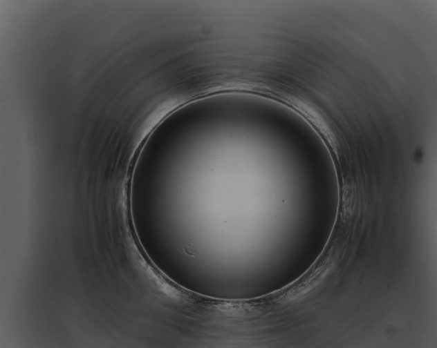 X0000095690906200801151145
