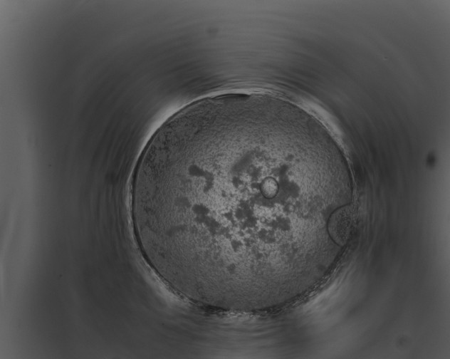 X0000095690907200801151145
