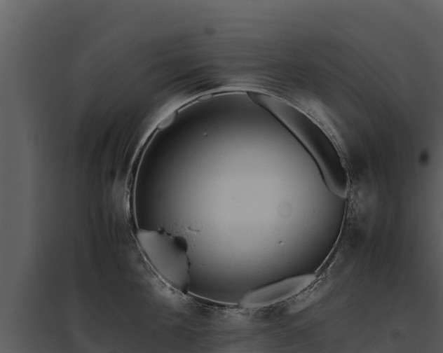 X0000095690908200801151145