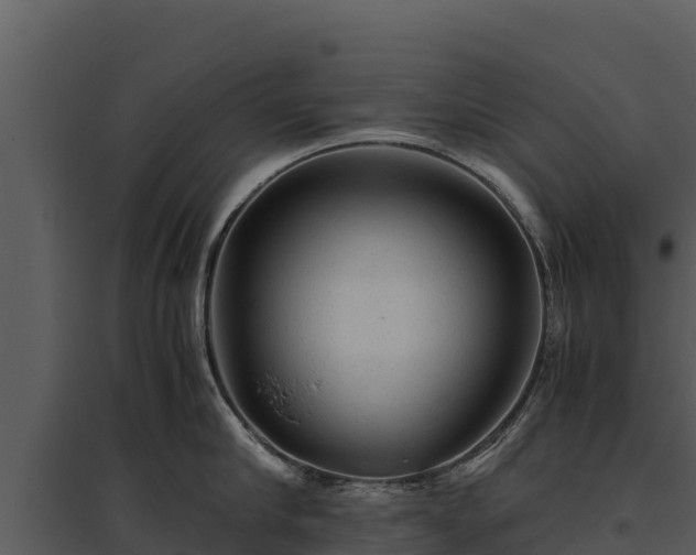 X0000095690910200801151145