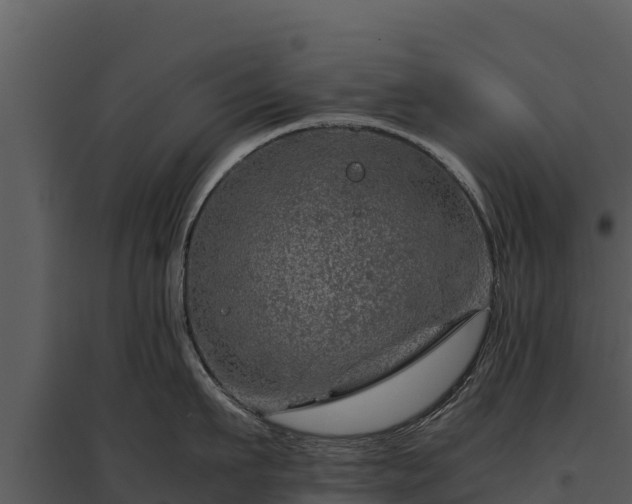 X0000095690911200801151145
