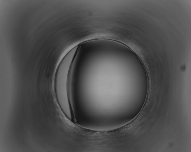 X0000095690912200801151145