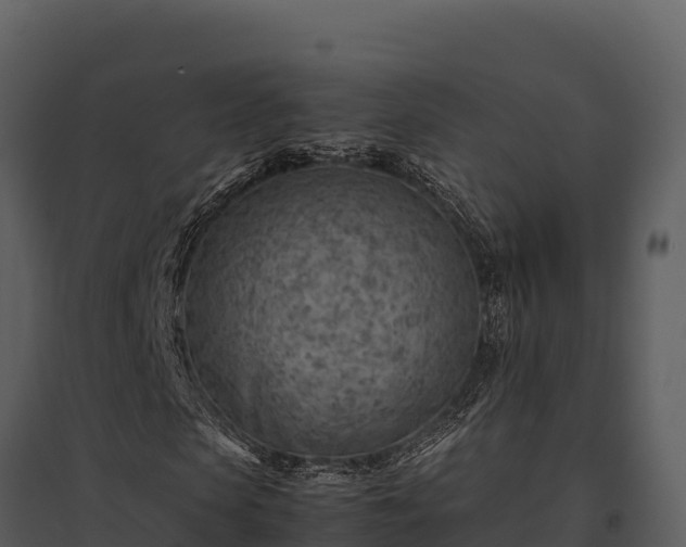 X0000095690913200801151145