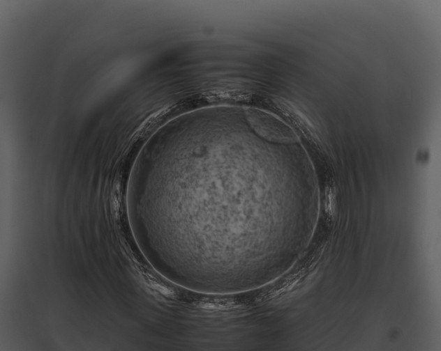 X0000095690915200801151145