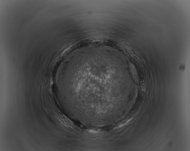 X0000095690916200801151145