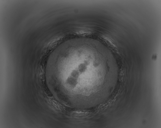 X0000095690917200801151145