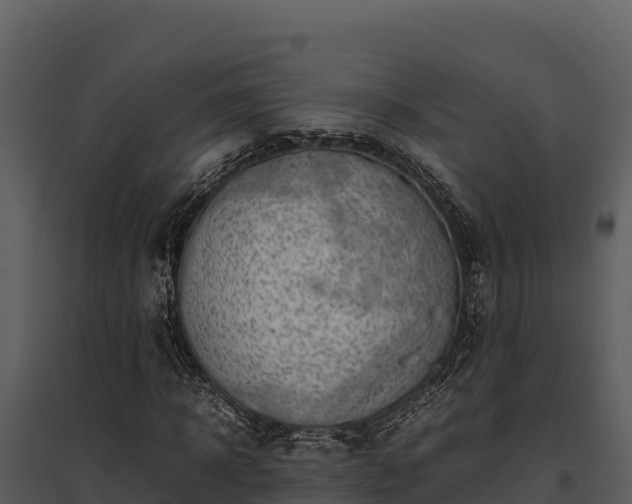 X0000095690918200801151145