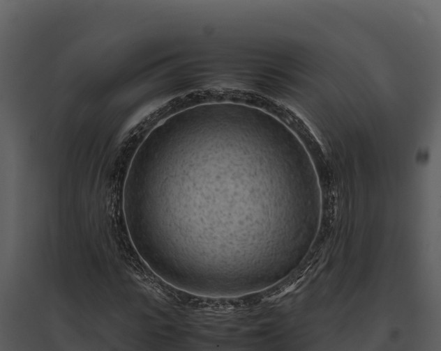 X0000095690919200801151145