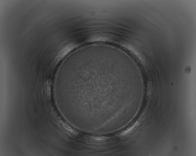 X0000095690921200801151145