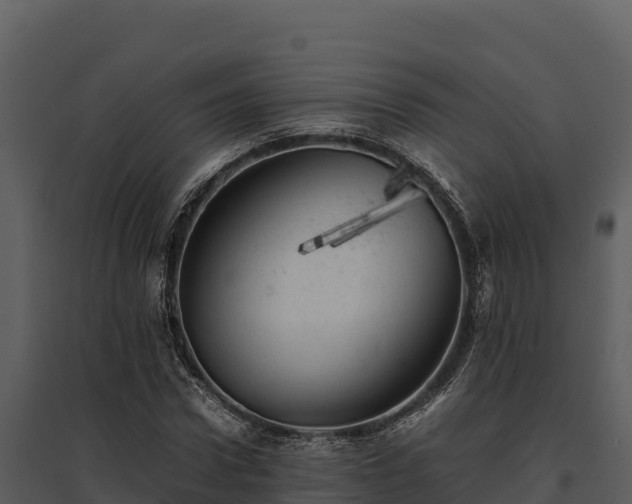 X0000095690922200801151145