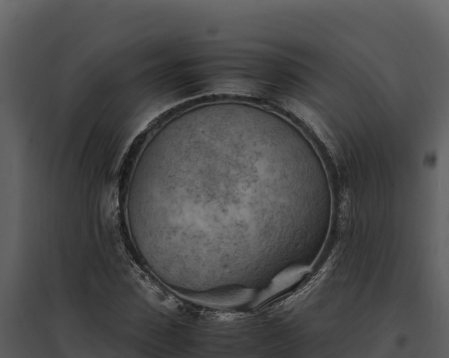 X0000095690923200801151145