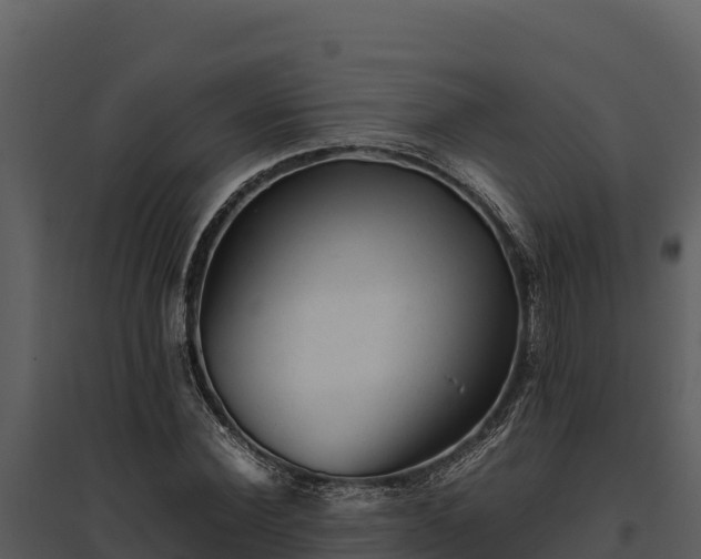 X0000095690924200801151145