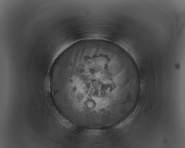 X0000095690925200801151145