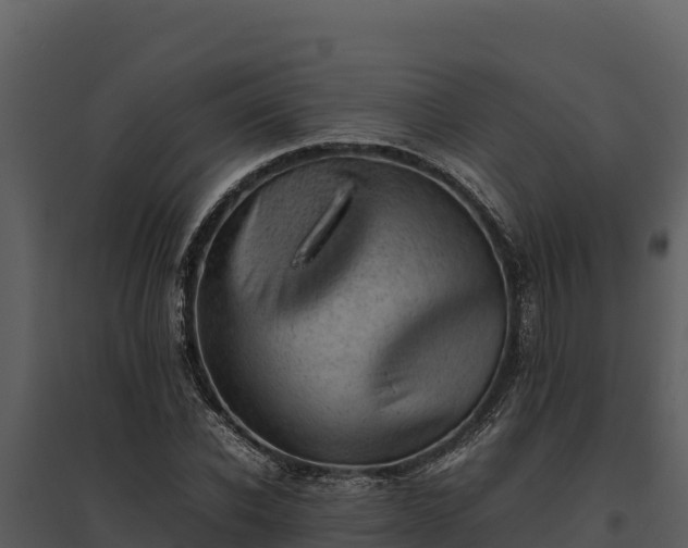 X0000095690926200801151145