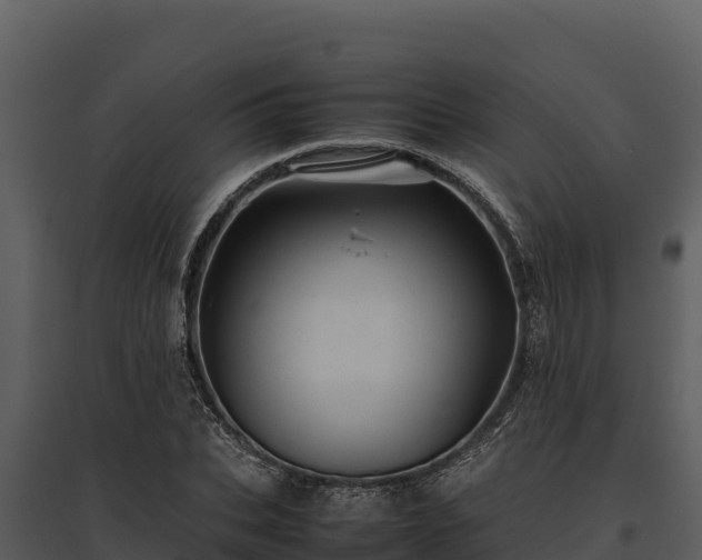 X0000095690927200801151145