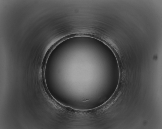 X0000095690928200801151145