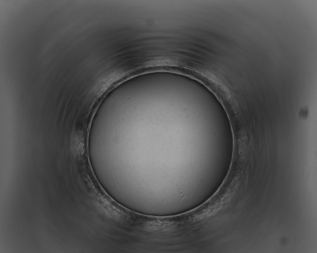 X0000095690929200801151145