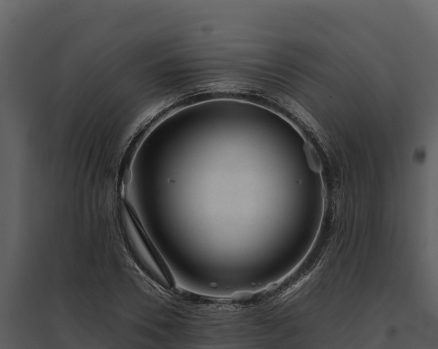 X0000095690930200801151145