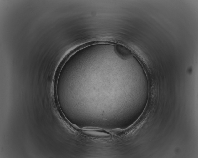 X0000095690932200801151145