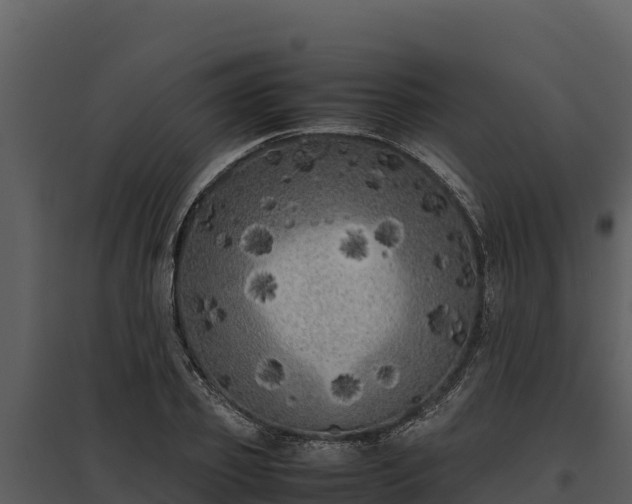 X0000095690933200801151145