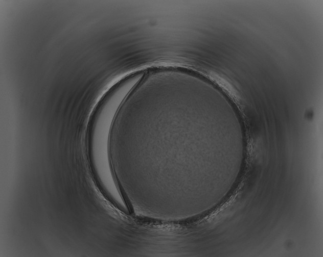 X0000095690934200801151145