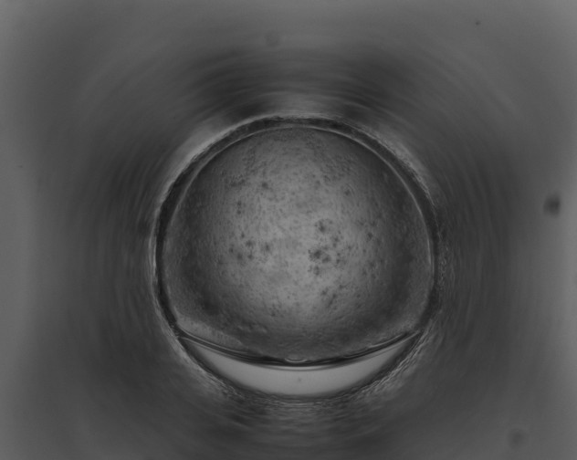 X0000095690935200801151145