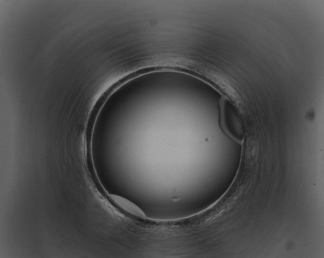 X0000095690936200801151145