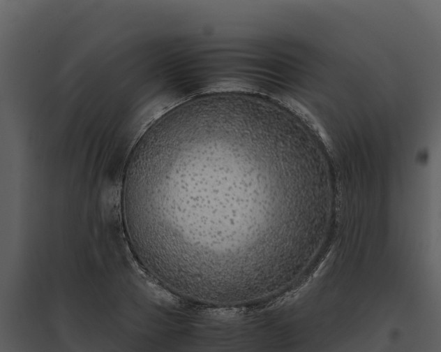 X0000095690937200801151145