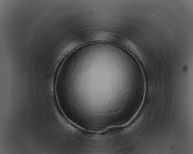 X0000095690938200801151145