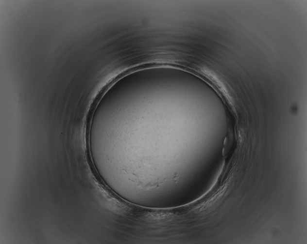 X0000095690939200801151145
