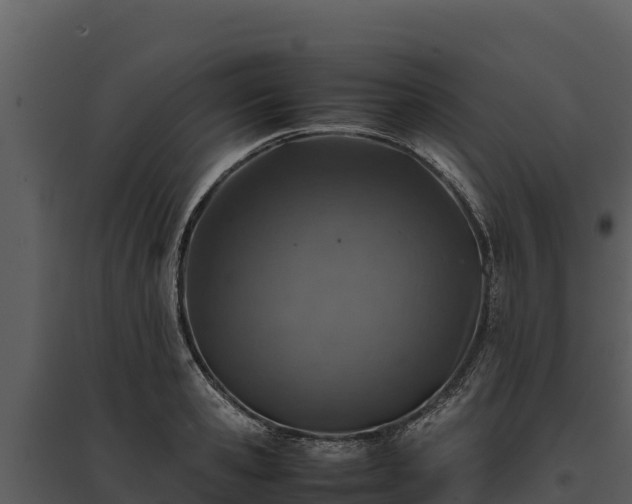 X0000095690941200801151145