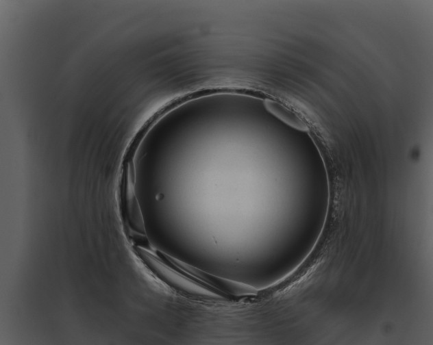 X0000095690942200801151145