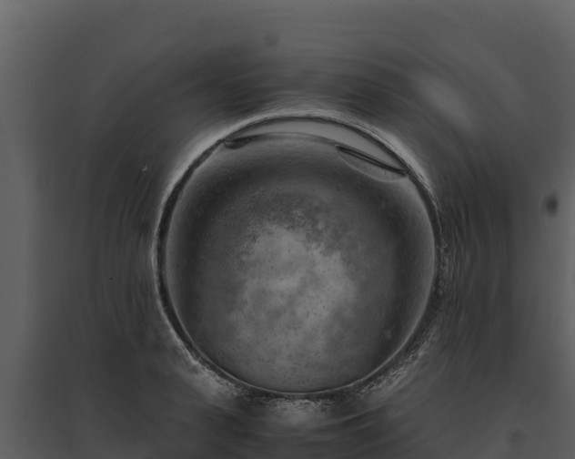 X0000095690943200801151145