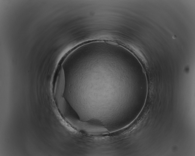 X0000095690944200801151145