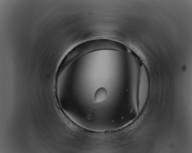 X0000095690948200801151145