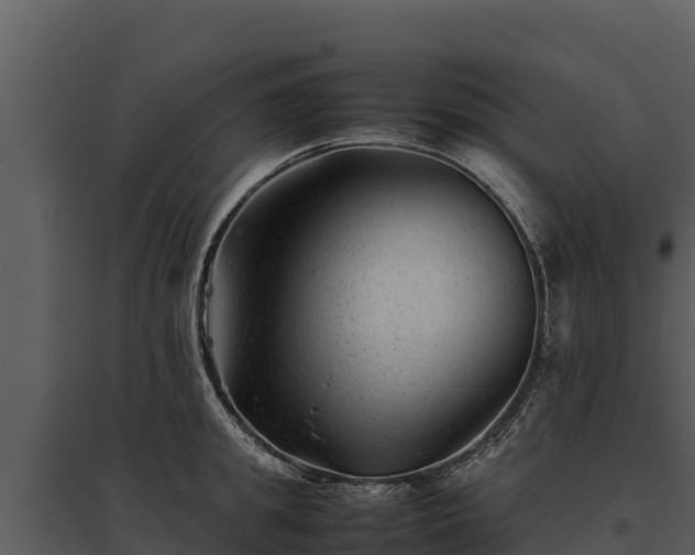 X0000095690949200801151145