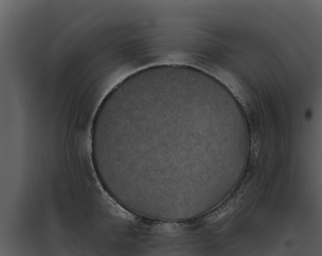 X0000095690950200801151145