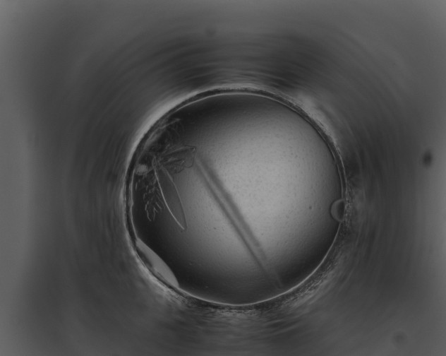X0000095690951200801151145