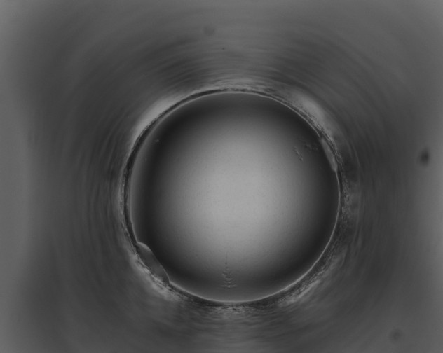 X0000095690952200801151145