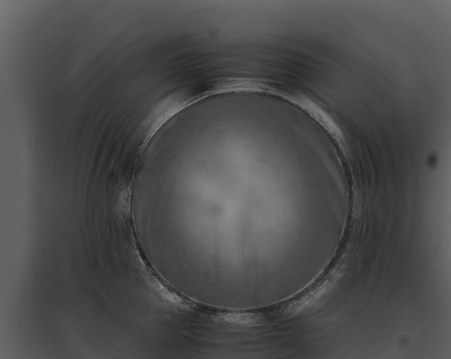 X0000095690953200801151145