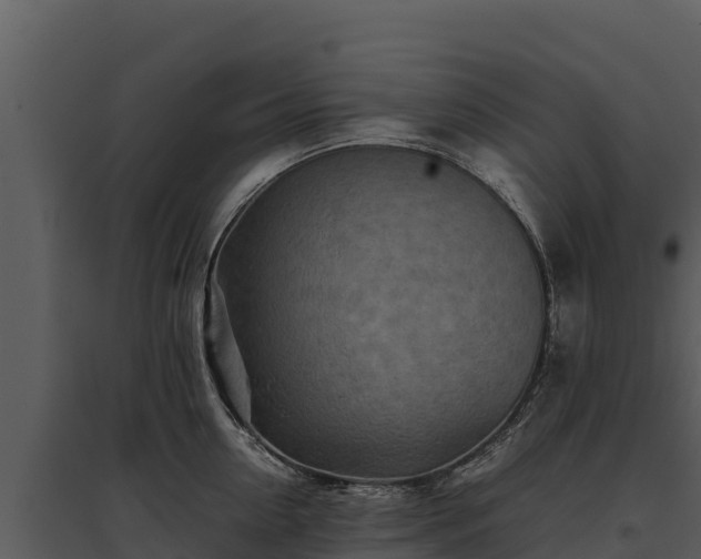 X0000095690954200801151145