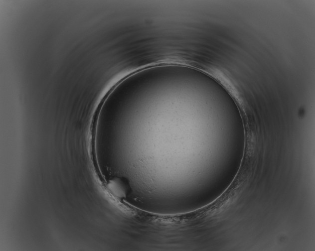 X0000095690955200801151145