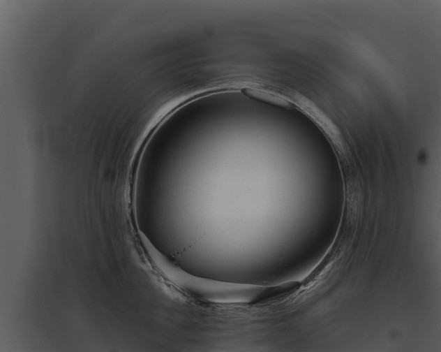 X0000095690956200801151145