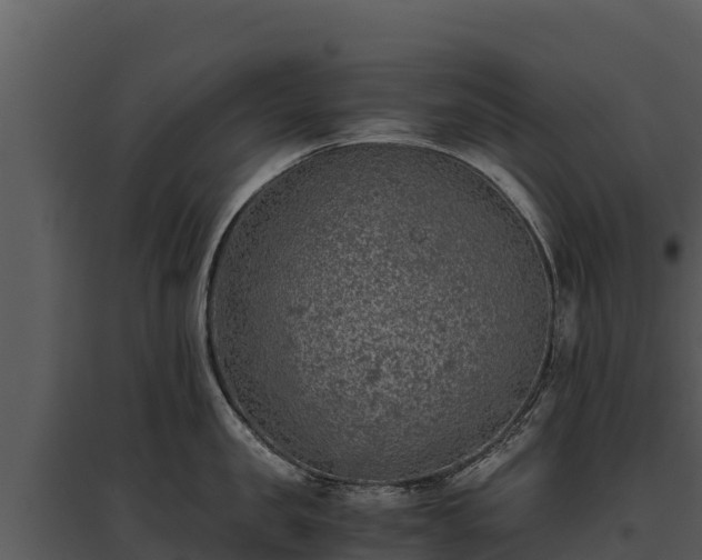X0000095690957200801151145