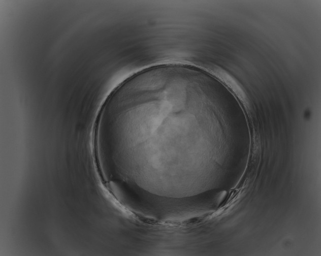 X0000095690958200801151145