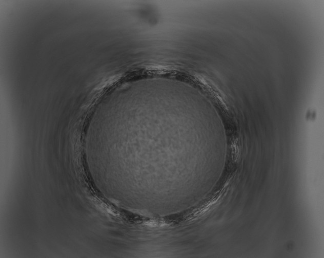 X0000095690961200801151145