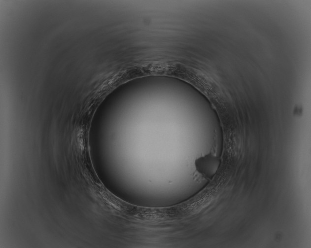 X0000095690962200801151145